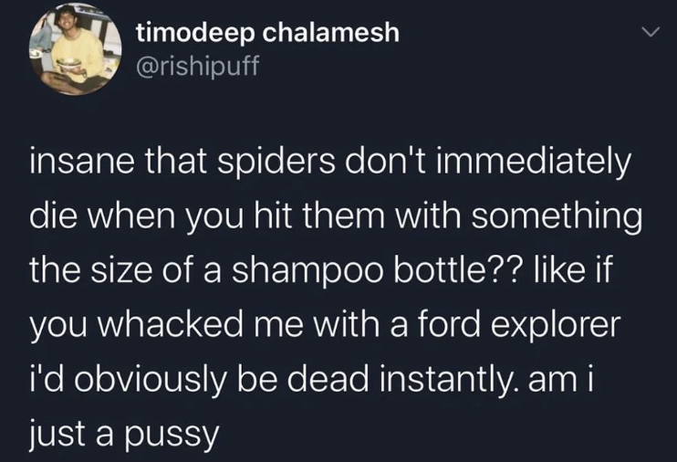 screenshot - timodeep chalamesh insane that spiders don't immediately die when you hit them with something the size of a shampoo bottle?? if you whacked me with a ford explorer i'd obviously be dead instantly. am i just a pussy